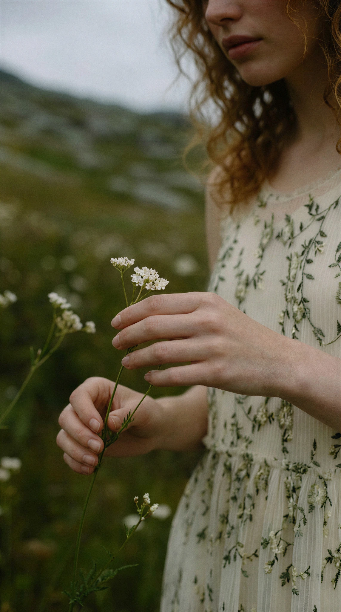 Wild Meadow 3